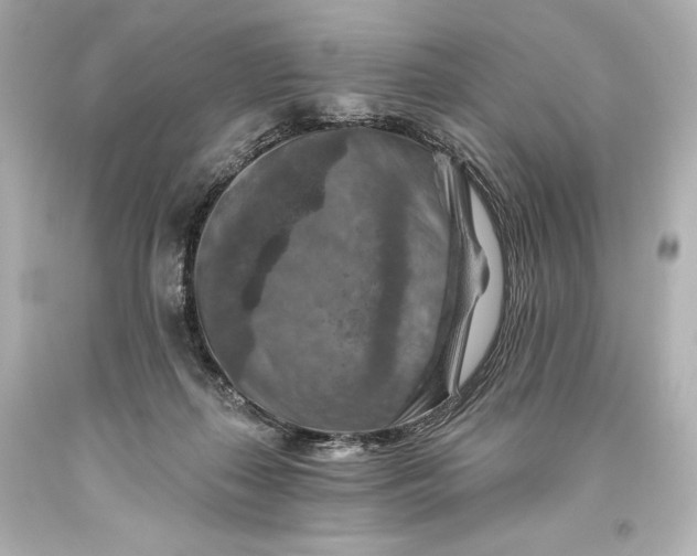 X0000093470267200711021239