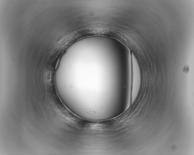 X0000093470268200711021239