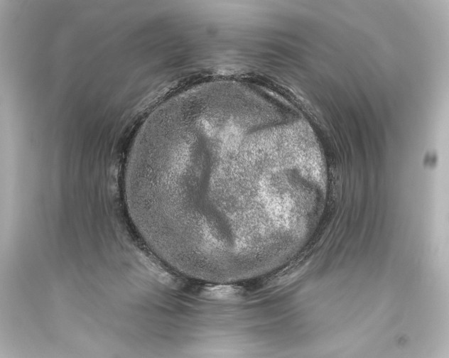 X0000093470269200711021239