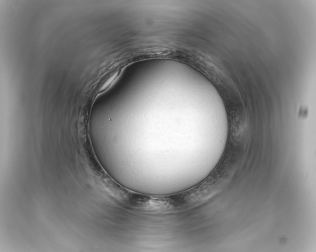 X0000093470270200711021239