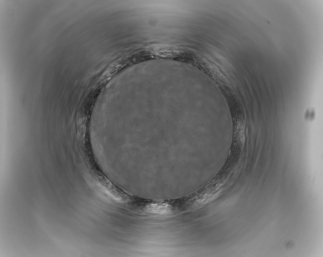 X0000093470271200711021239