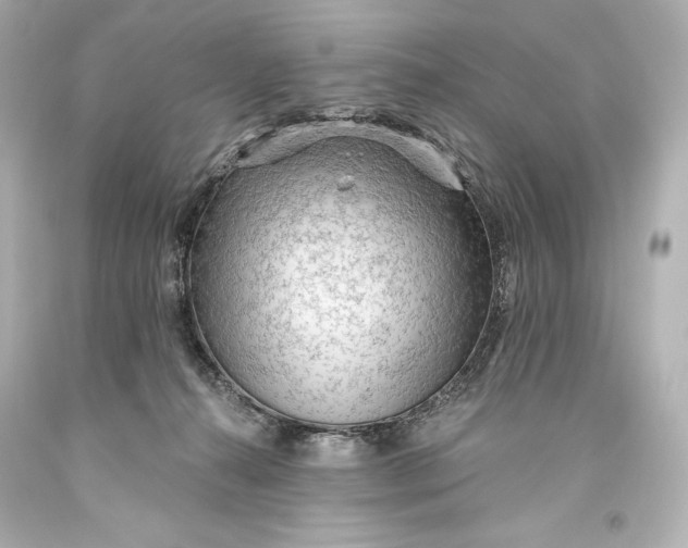 X0000093470272200711021239