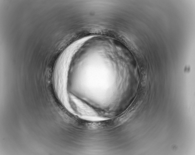 X0000093470273200711021239