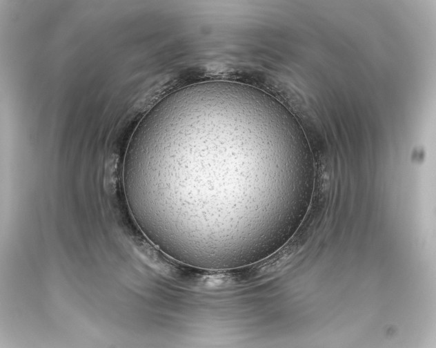 X0000093470275200711021239