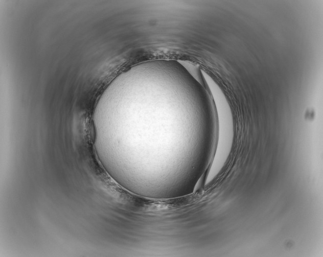 X0000093470276200711021239