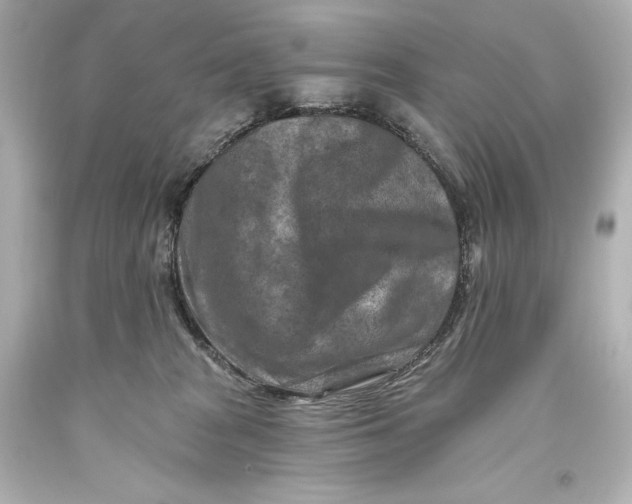 X0000093470277200711021239