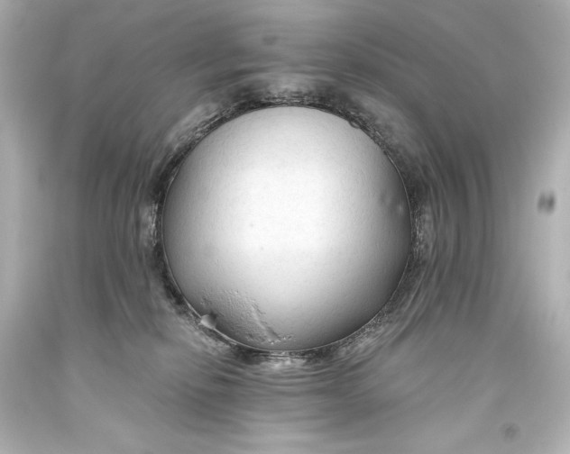 X0000093470278200711021239