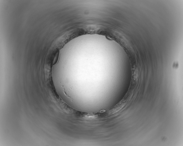 X0000093470283200711021239