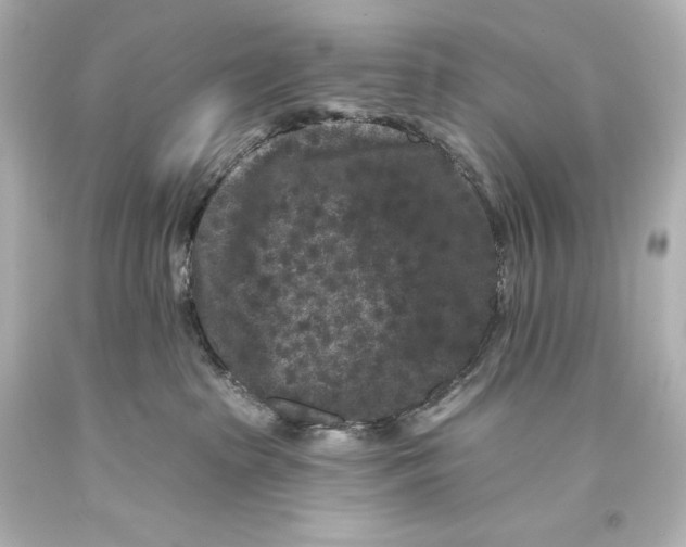 X0000093470285200711021239