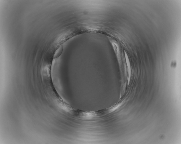 X0000093470286200711021239