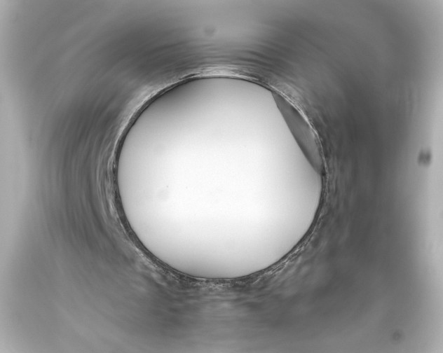 X0000093470289200711021239