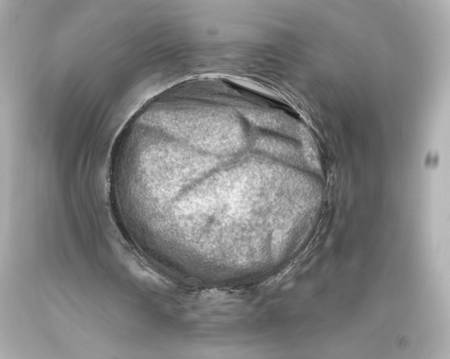 X0000093470290200711021239