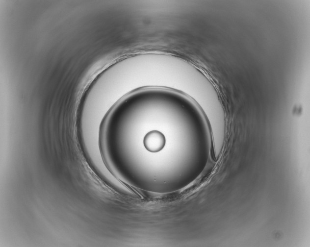 X0000093470293200711021239