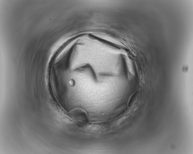 X0000093470294200711021239