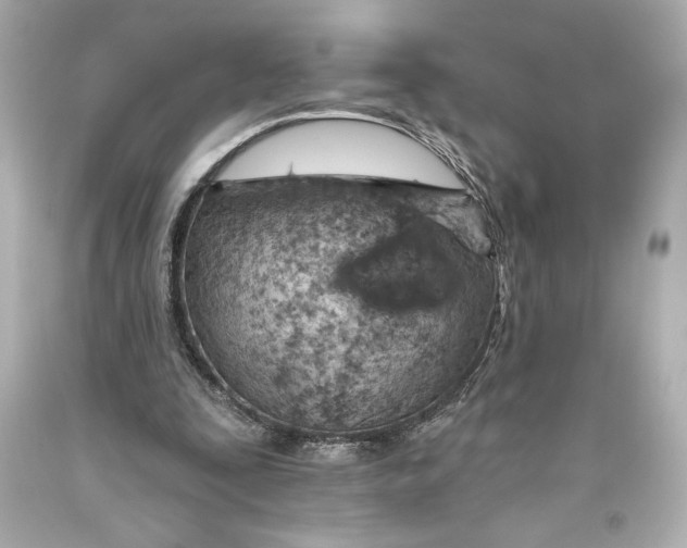 X0000093470295200711021239