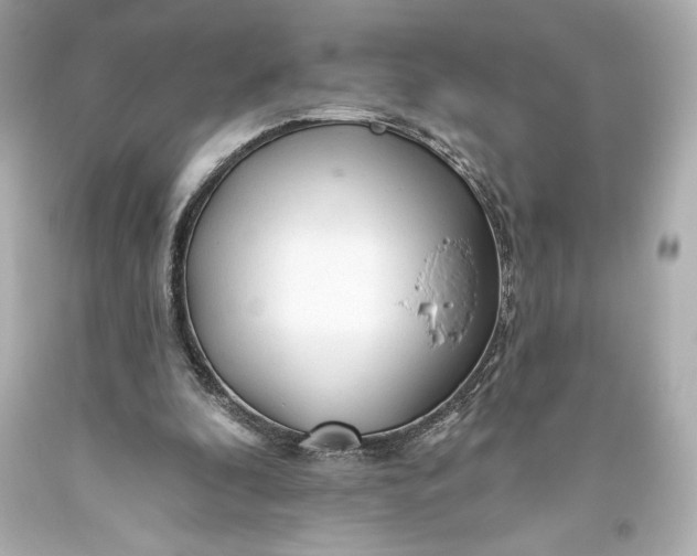 X0000093470296200711021239