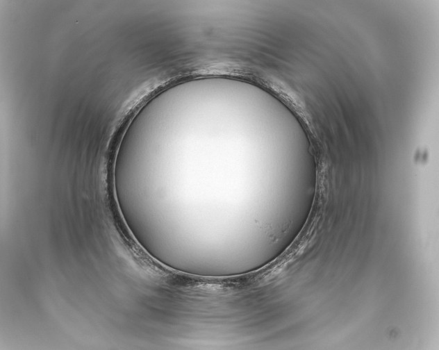 X0000093470298200711021239