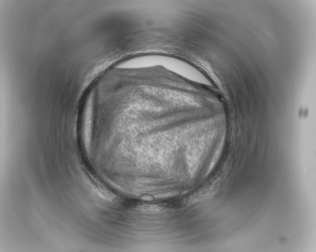 X0000093470299200711021239