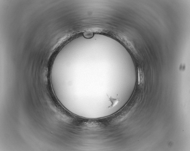 X0000093470300200711021239