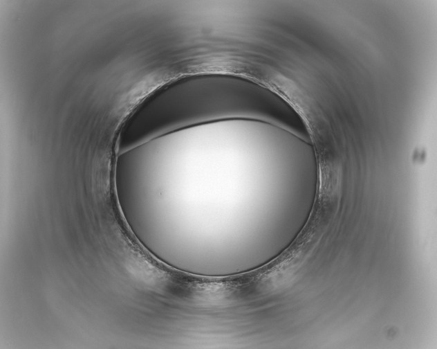 X0000093470301200711021239