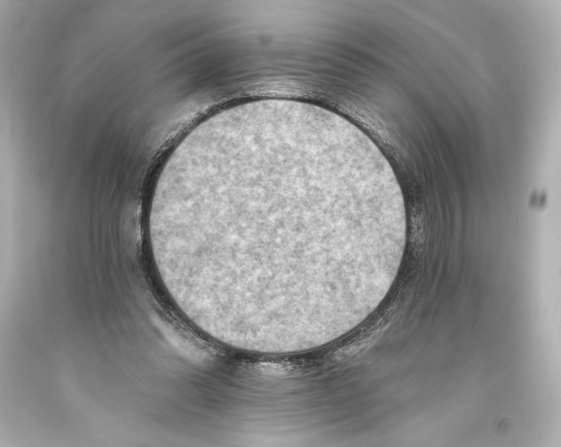 X0000093470302200711021239