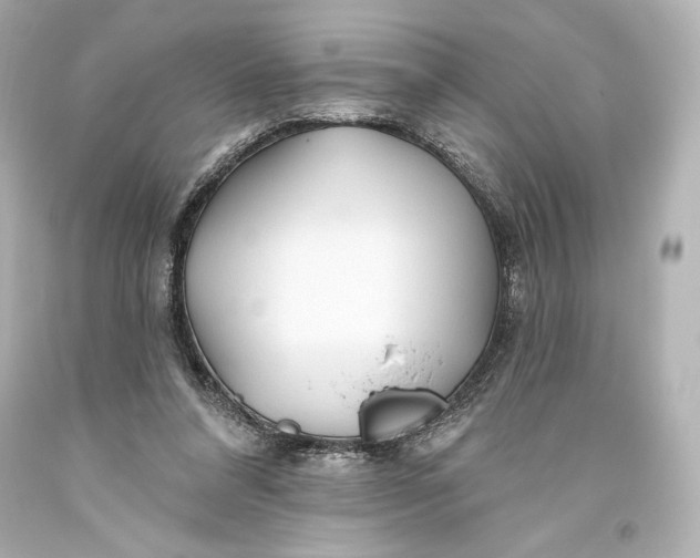 X0000093470304200711021238