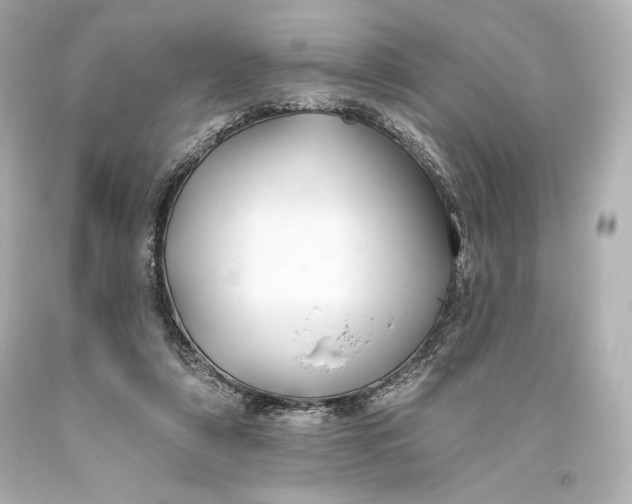 X0000093470306200711021238