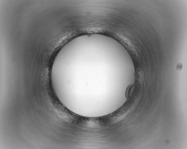 X0000093470308200711021238