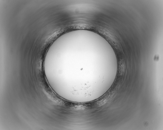 X0000093470310200711021238