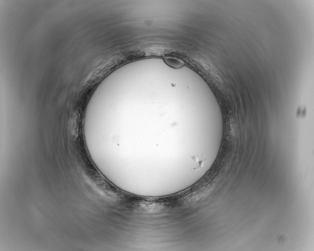 X0000093470311200711021238