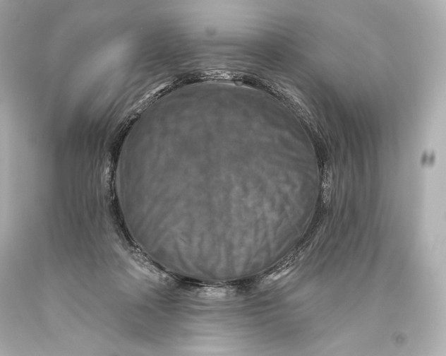 X0000093470314200711021238