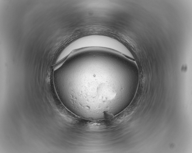 X0000093470315200711021238