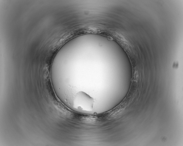 X0000093470318200711021238