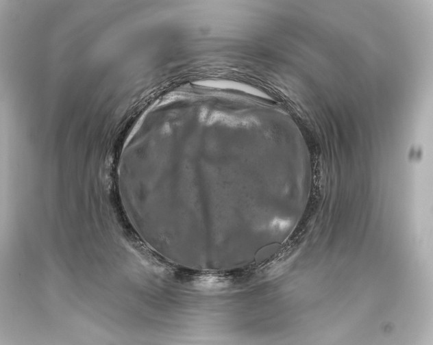 X0000093470319200711021238