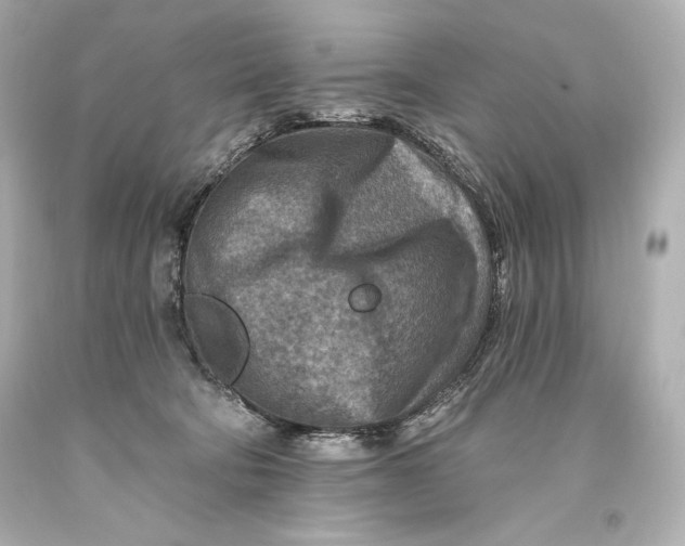 X0000093470322200711021238