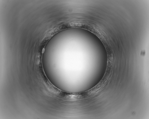 X0000093470323200711021238