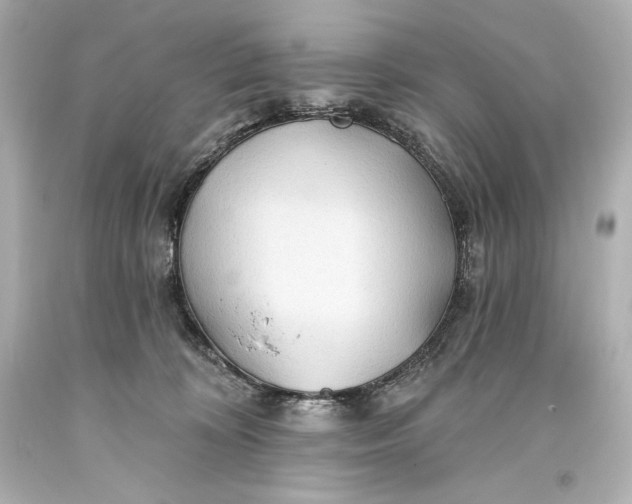 X0000093470324200711021238