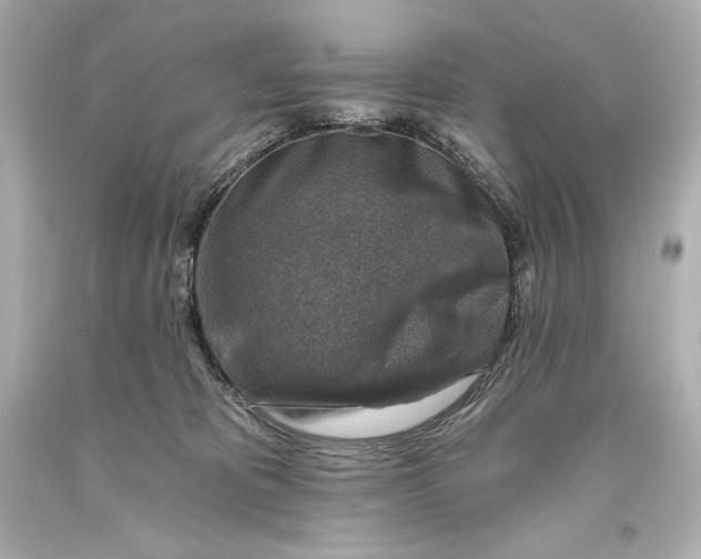 X0000093470325200711021238