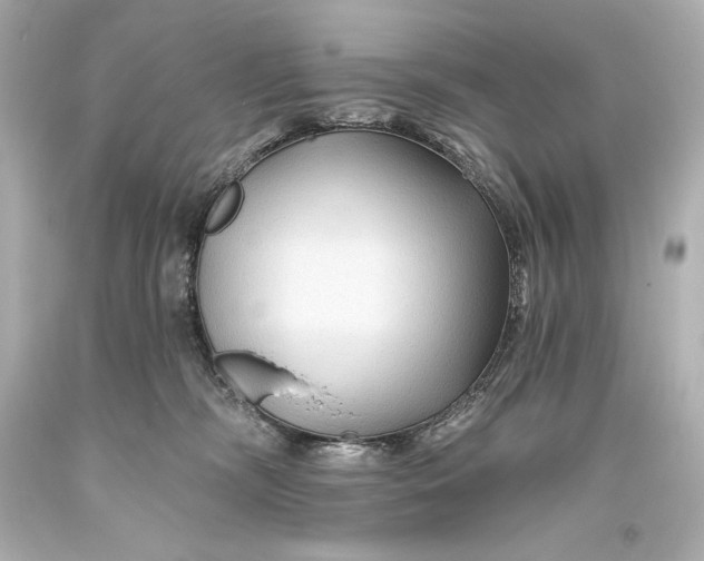 X0000093470326200711021238