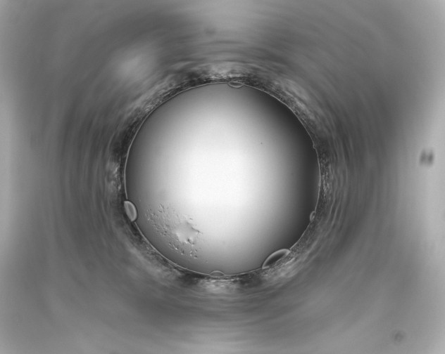 X0000093470327200711021238