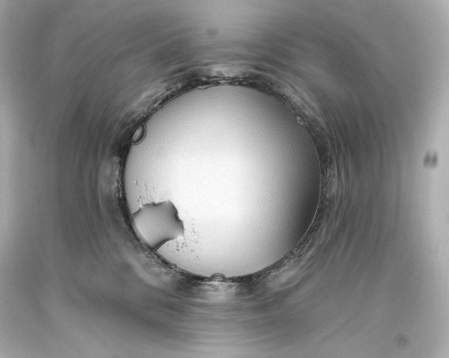 X0000093470328200711021238