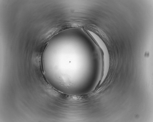 X0000093470329200711021238