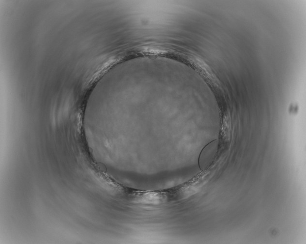 X0000093470330200711021238