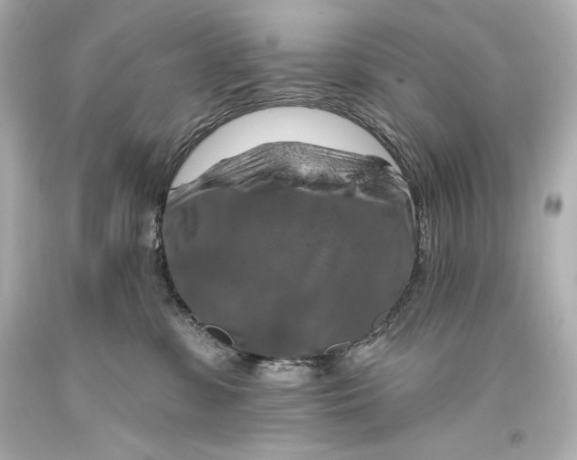 X0000093470331200711021238