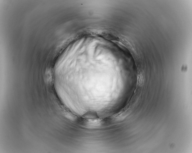 X0000093470335200711021238