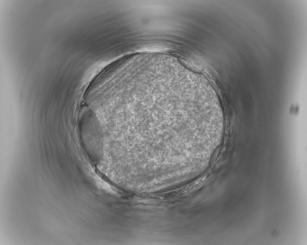 X0000093470337200711021237