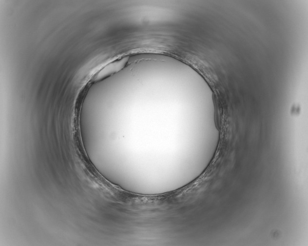 X0000093470338200711021237