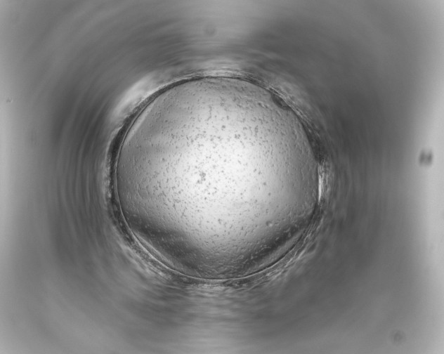 X0000093470339200711021237