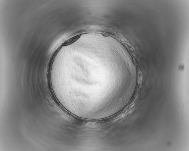 X0000093470341200711021237