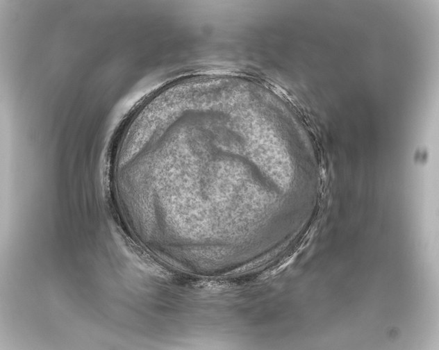 X0000093470343200711021237